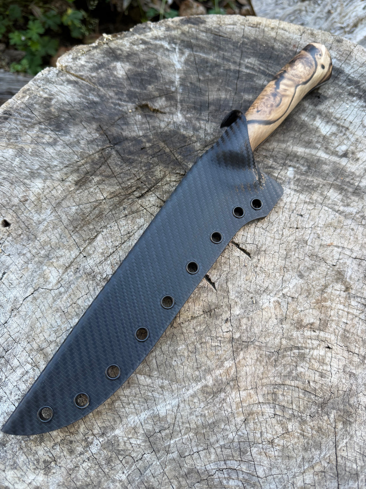 7in Fillet - Spalted Sassy