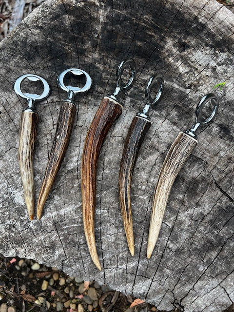 Sambar antler bottler opener (chrome tine)