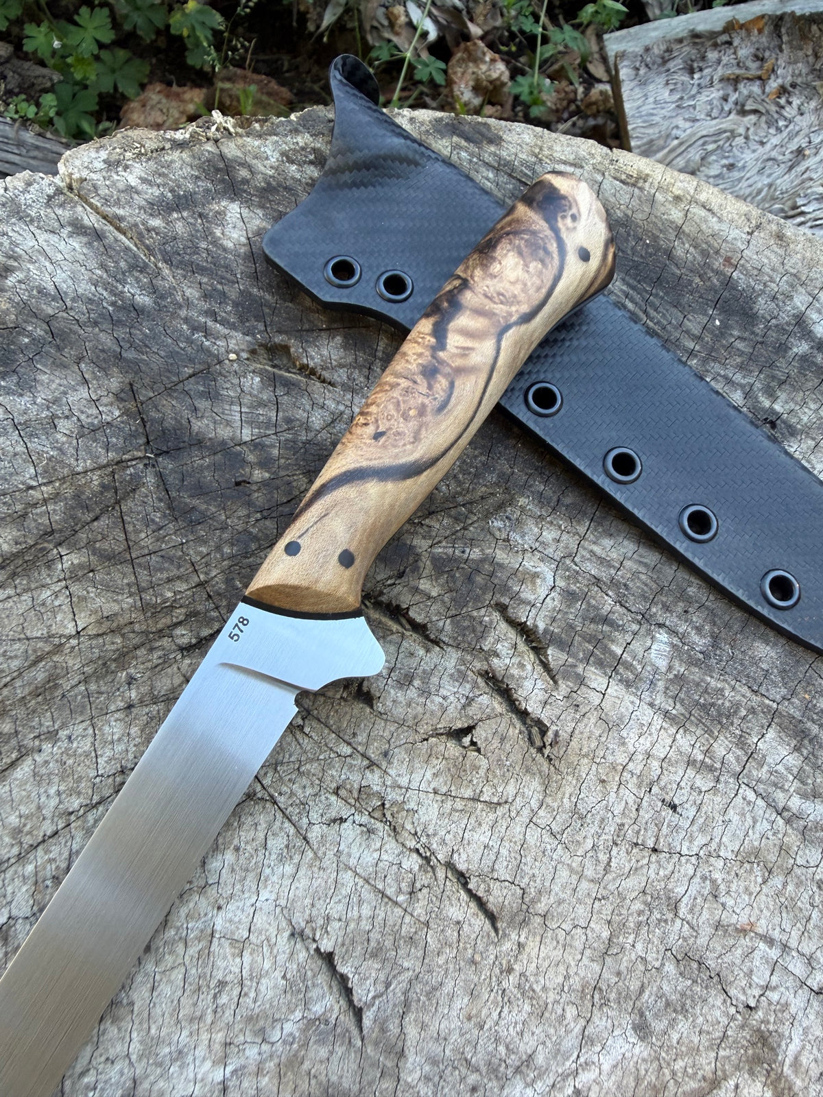 7in Fillet - Spalted Sassy