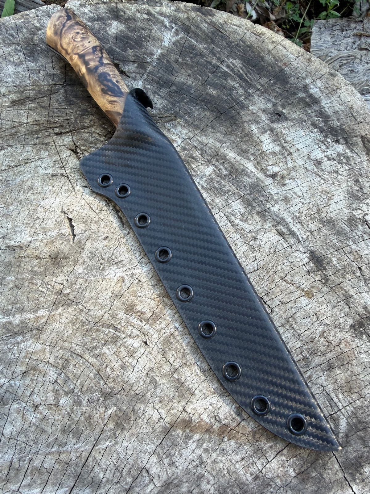 7in Fillet - Spalted Sassy