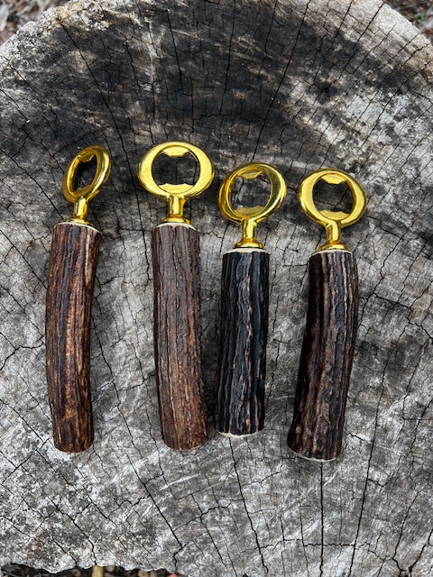 Sambar antler bottler opener (Polished brass)
