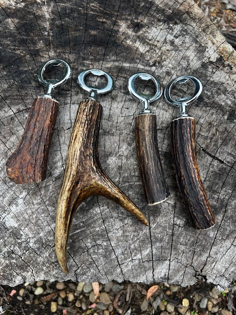 Sambar antler bottler opener (chrome)
