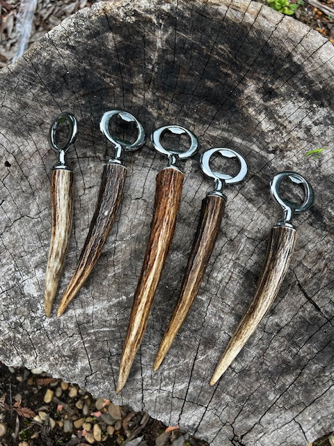 Sambar antler bottler opener (chrome tine)