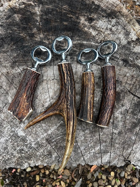 Sambar antler bottler opener (chrome)